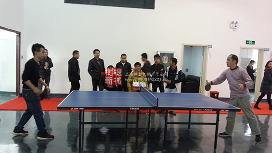 Shuxin Ping pong game